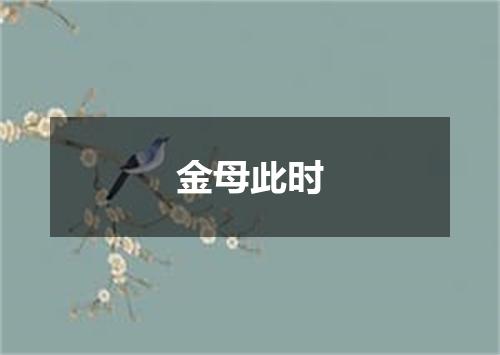 金母此时