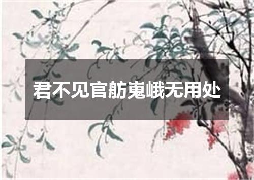 君不见官舫嵬峨无用处