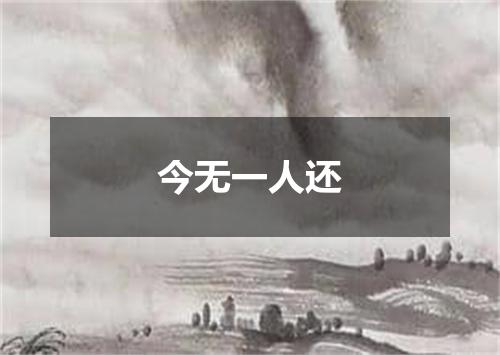 今无一人还