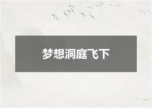 梦想洞庭飞下