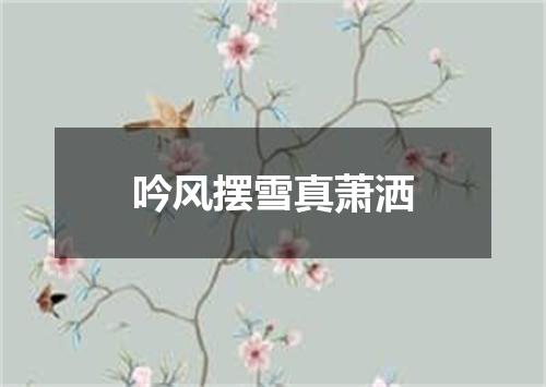 吟风摆雪真萧洒