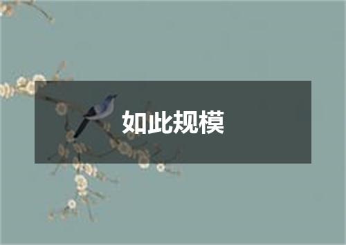 如此规模