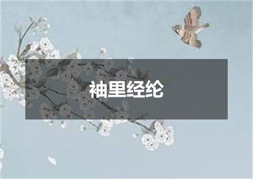 袖里经纶