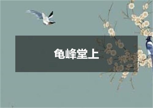 龟峰堂上