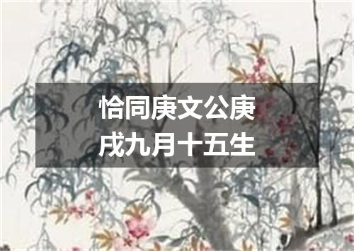 恰同庚文公庚戌九月十五生