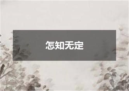 怎知无定