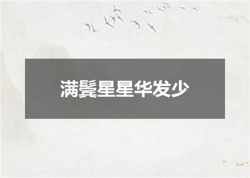 满鬓星星华发少