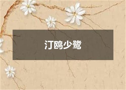 汀鸥少鹭