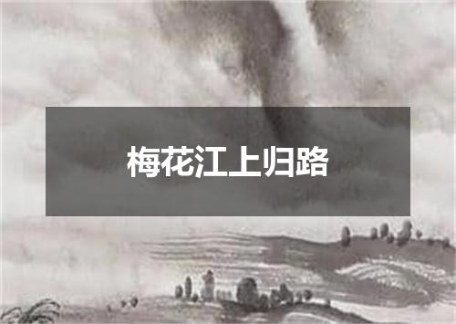 梅花江上归路