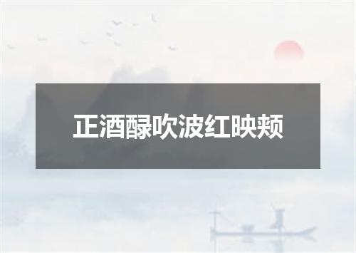 正酒醁吹波红映颊