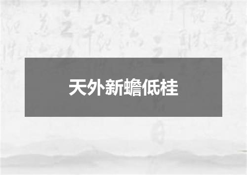 天外新蟾低桂