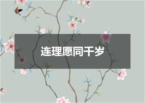 连理愿同千岁