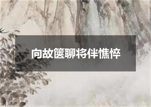向故箧聊将伴憔悴