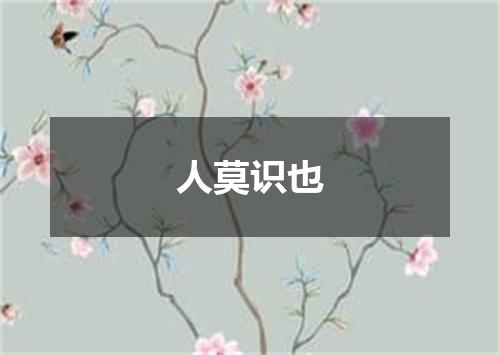 人莫识也