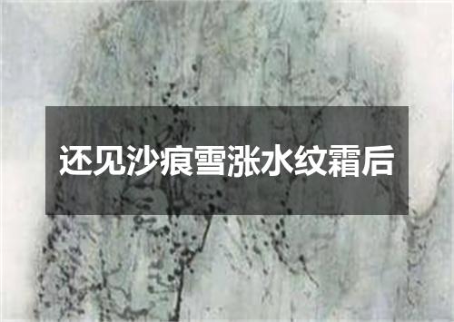 还见沙痕雪涨水纹霜后