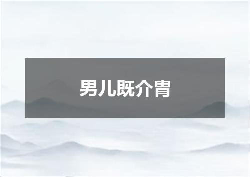 男儿既介胄