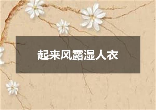 起来风露湿人衣