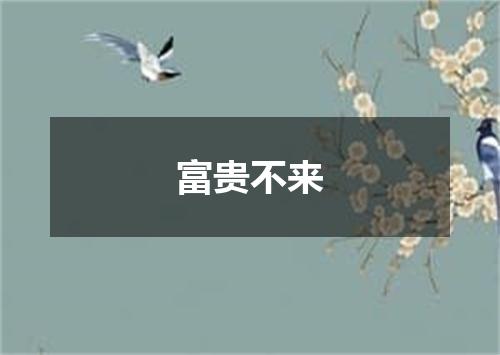 富贵不来