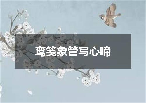 鸾笺象管写心啼