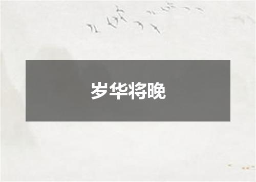 岁华将晚