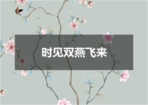 时见双燕飞来