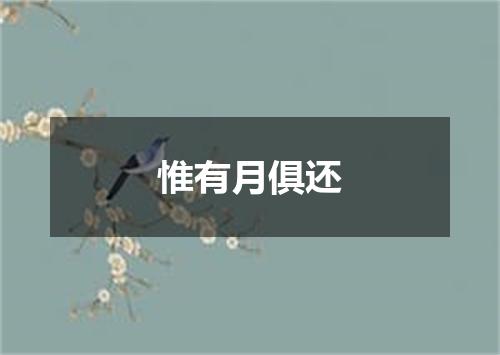 惟有月俱还