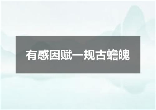 有感因赋一规古蟾魄