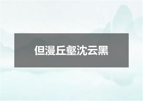 但漫丘壑沈云黑