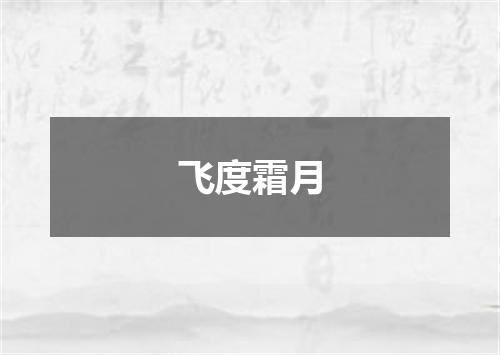 飞度霜月