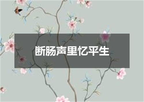 断肠声里忆平生