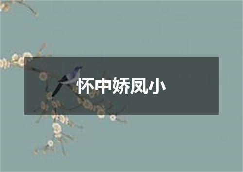 怀中娇凤小