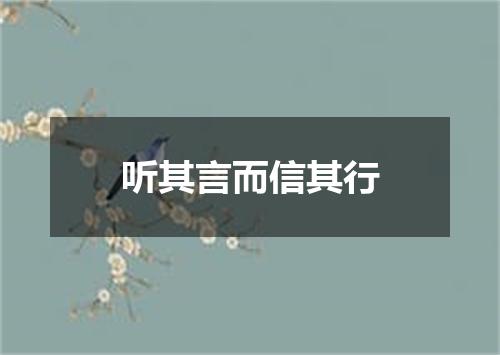 听其言而信其行