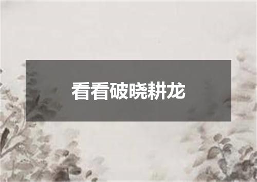 看看破晓耕龙