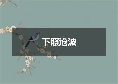 下照沧波