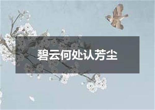 碧云何处认芳尘