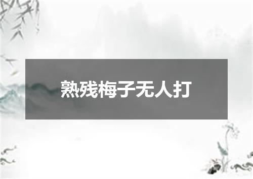 熟残梅子无人打