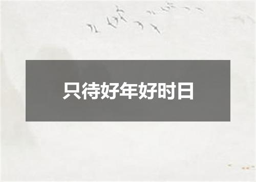 只待好年好时日