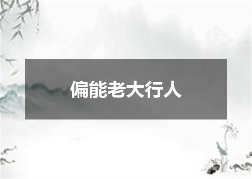 偏能老大行人