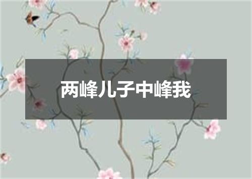 两峰儿子中峰我