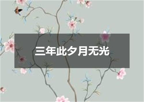 三年此夕月无光