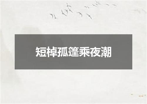 短棹孤篷乘夜潮