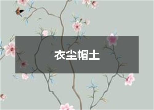 衣尘帽土