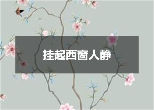 挂起西窗人静