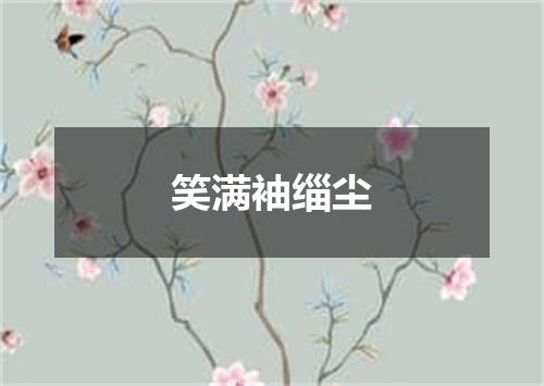 笑满袖缁尘