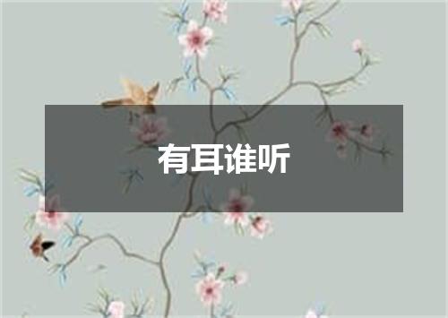 有耳谁听