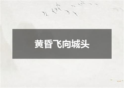 黄昏飞向城头