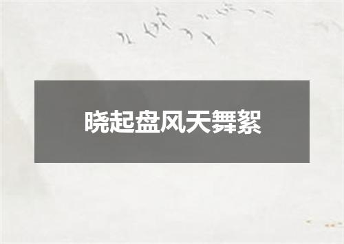 晓起盘风天舞絮