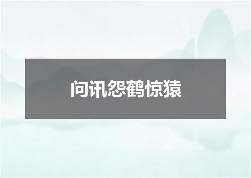 问讯怨鹤惊猿