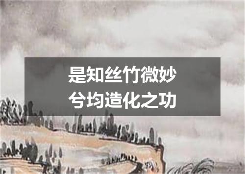 是知丝竹微妙兮均造化之功