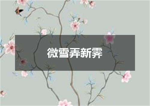 微雪弄新霁